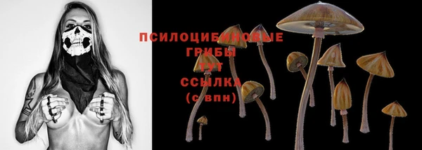mdpv Алексин