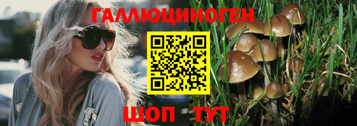 Псилоцибиновые грибы Magic Shrooms  Псилоцибиновые грибы ЛСД  Черкесск  Вход с VPN 