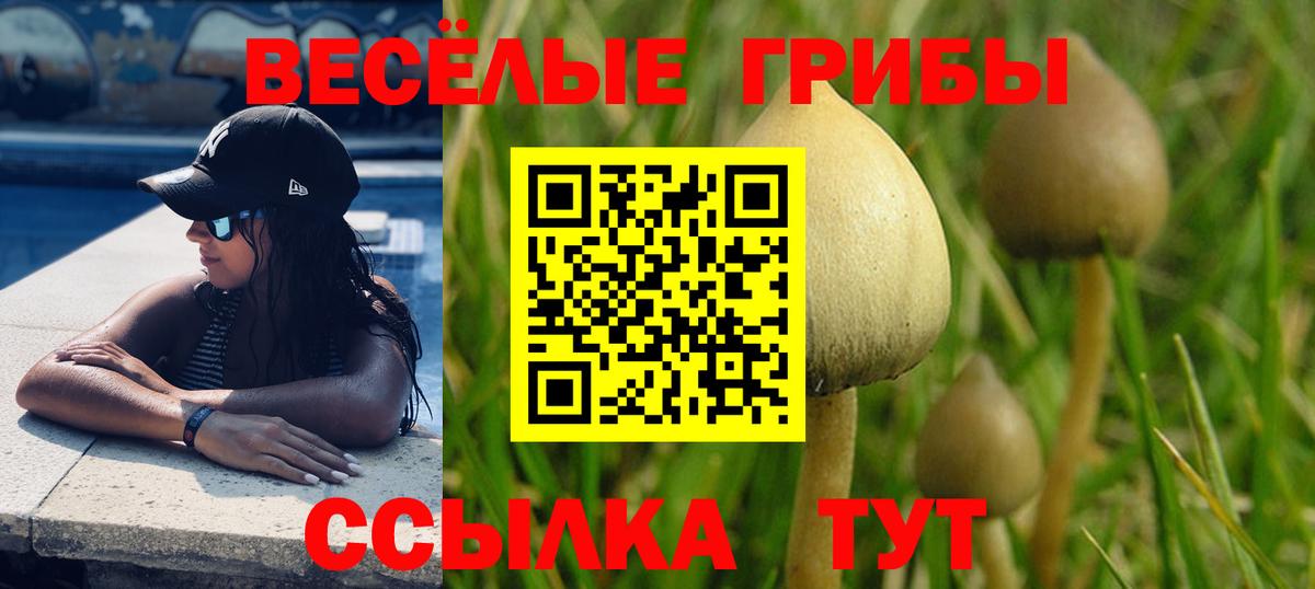 Псилоцибиновые грибы Magic Shrooms Черкесск