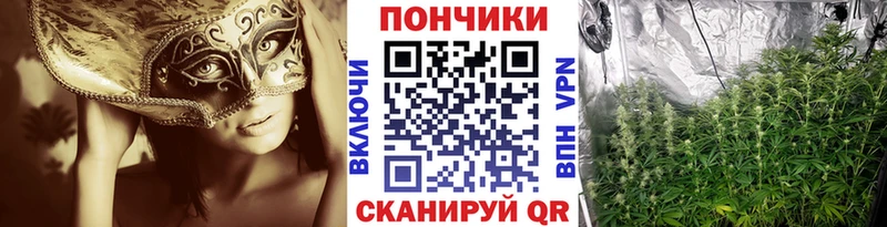 купить наркотик  OMG ссылка  Шишки марихуана планчик  нарко площадка как зайти  Черкесск 